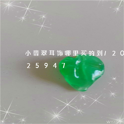 小翡翠耳饰哪里买的到/2023082625947