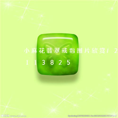 小麻花翡翠戒指图片欣赏/2023103113825