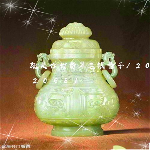 就是古代翡翠老银簪子/2023082720681