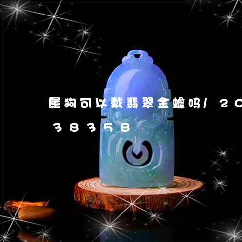 属狗可以戴翡翠金蟾吗/2023082638358