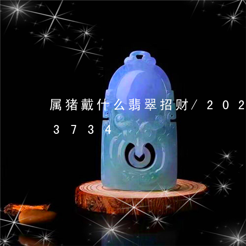 属猪戴什么翡翠招财/2023102493734