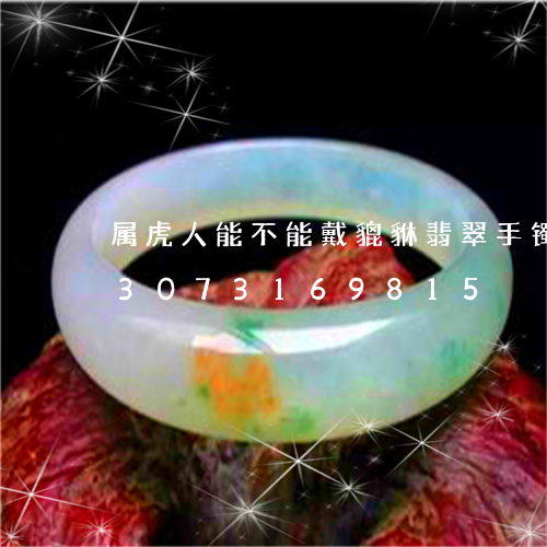 属虎人能不能戴貔貅翡翠手镯饰品/2023073169815