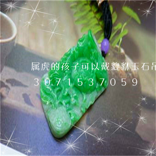 属虎的孩子可以戴貔貅玉石吊坠吗/2023071537059