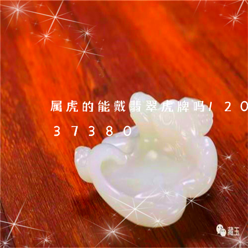 属虎的能戴翡翠虎牌吗/2023092837380