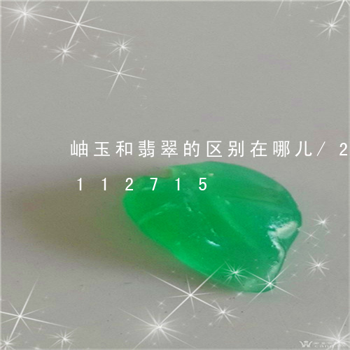 岫玉和翡翠的区别在哪儿/2023103112715