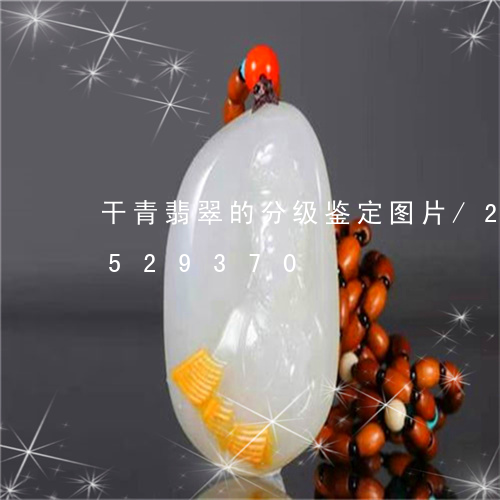 干青翡翠的分级鉴定图片/2023111529370