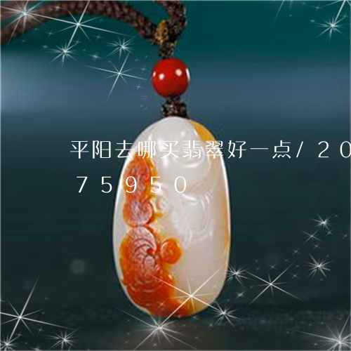 平阳去哪买翡翠好一点/2023082775950