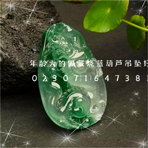 年龄大的佩戴烧蓝葫芦吊坠好看吗吊坠/2023071647381