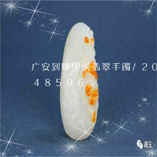 广安到哪里买翡翠手镯/2023082548506