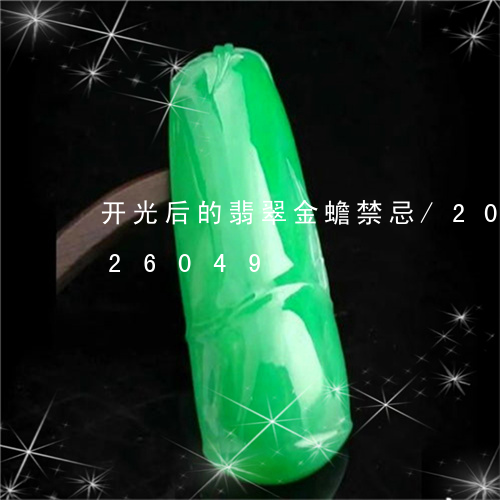 开光后的翡翠金蟾禁忌/2023082526049