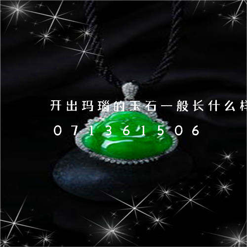 开出玛瑙的玉石一般长什么样子/2023071361506