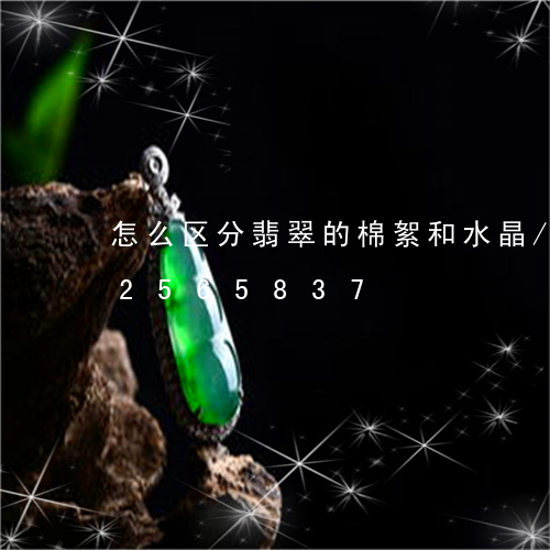 怎么区分翡翠的棉絮和水晶/2023112565837