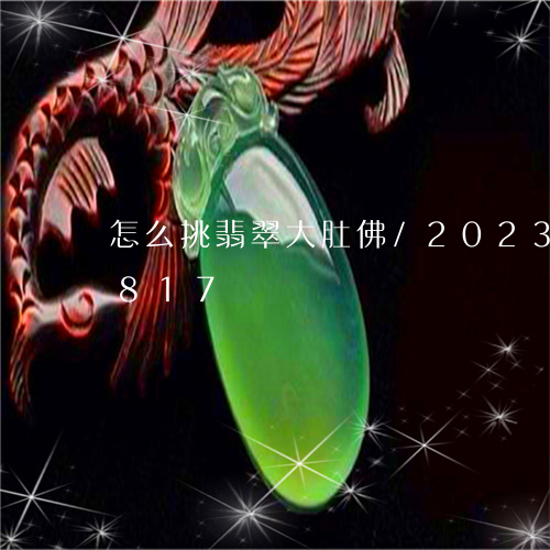 怎么挑翡翠大肚佛/2023102484817