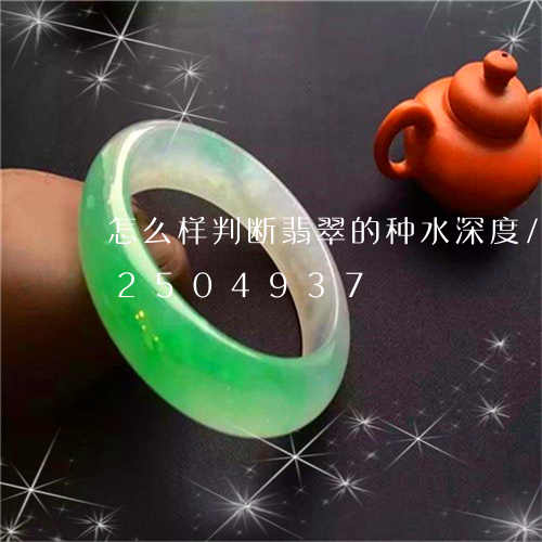 怎么样判断翡翠的种水深度/2023102504937