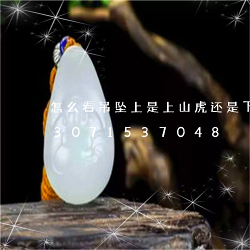 怎么看吊坠上是上山虎还是下山虎/2023071537048