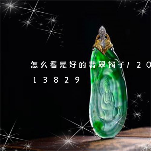 怎么看是好的翡翠镯子/2023092713829