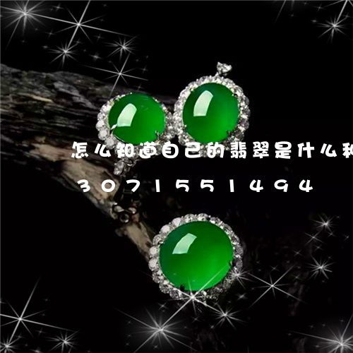 怎么知道自己的翡翠是什么种水的/2023071551494