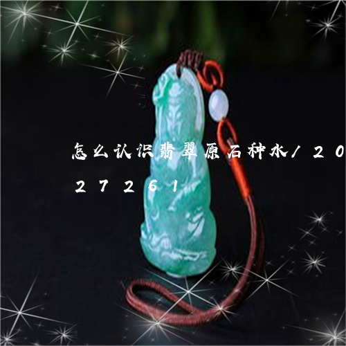 怎么认识翡翠原石种水/2023082627261