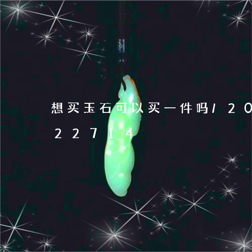 想买玉石可以买一件吗/2023120722714