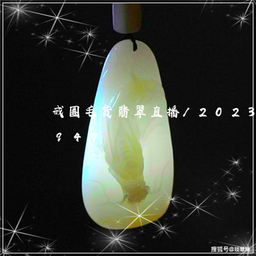 戒圈毛货翡翠直播/2023102406947