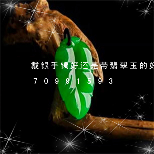 戴银手镯好还是带翡翠玉的好/2023070991593