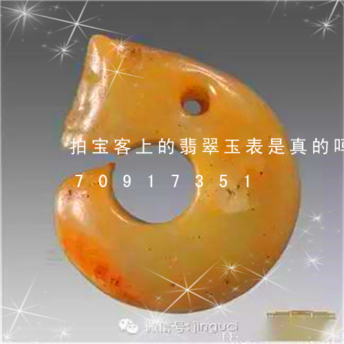 拍宝客上的翡翠玉表是真的吗/2023070917351