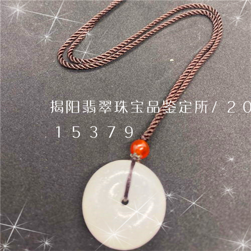 揭阳翡翠珠宝品鉴定所/2023120815379