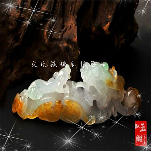 文玩核桃龟背图片