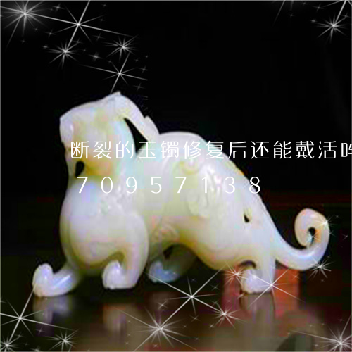 断裂的玉镯修复后还能戴活吗/2023070957138