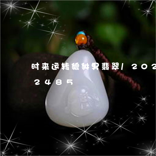 时来运转貔貅男翡翠/2023102502485