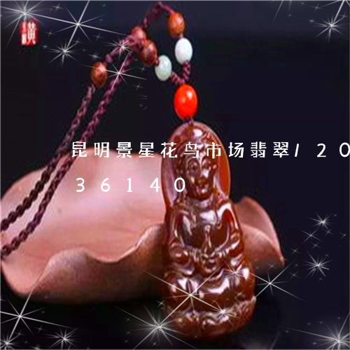 昆明景星花鸟市场翡翠/2023082636140