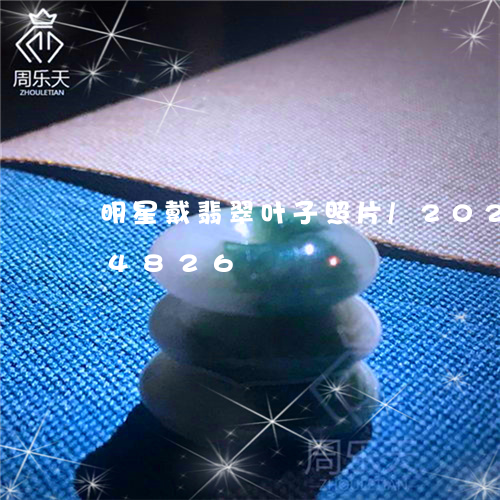 明星戴翡翠叶子照片/2023102604826