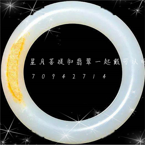 星月菩提和翡翠一起戴可以吗/2023070942714