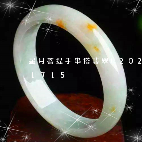 星月菩提手串搭翡翠/2023102551715