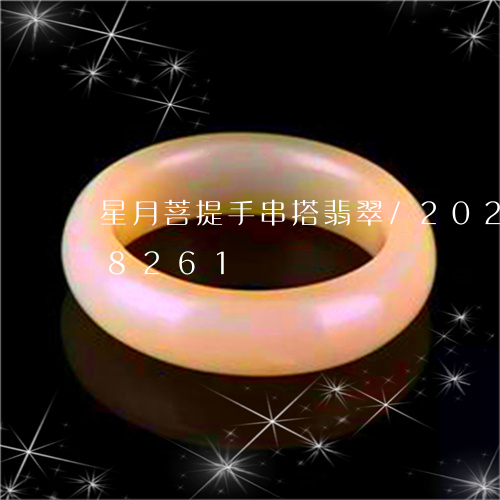 星月菩提手串搭翡翠/2023102568261