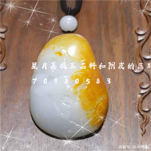 星月菩提玉石料和阴皮的区别/2023070980583