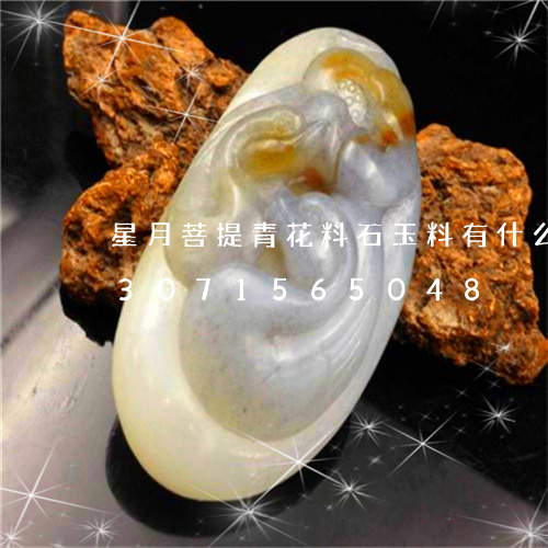 星月菩提青花料石玉料有什么区别/2023071565048