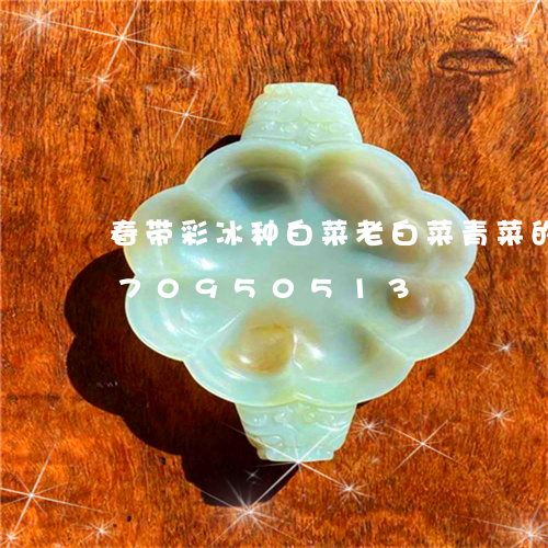 春带彩冰种白菜老白菜青菜的/2023070950513