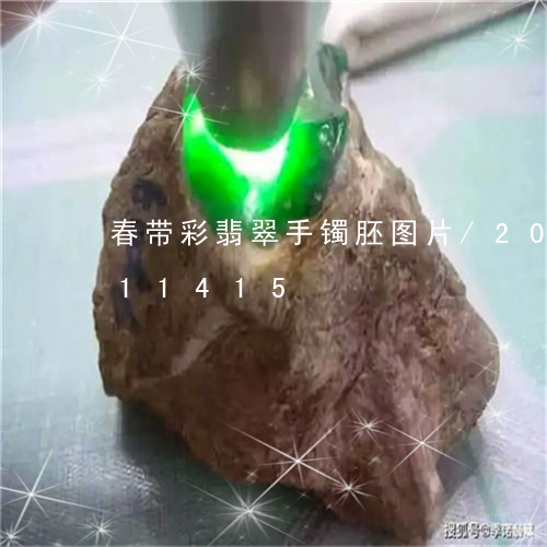 春带彩翡翠手镯胚图片/2023112411415