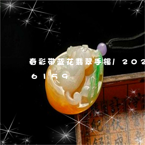 春彩带蓝花翡翠手镯/2023102516159