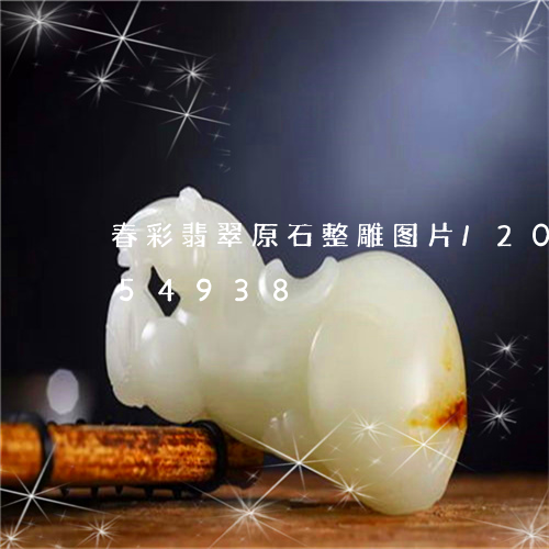 春彩翡翠原石整雕图片/2023112454938