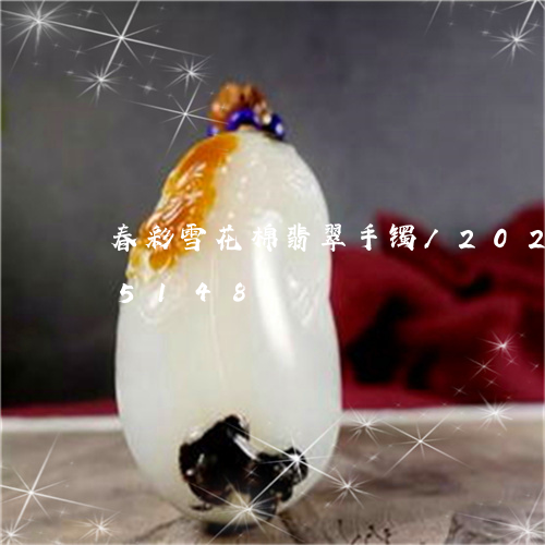 春彩雪花棉翡翠手镯/2023102555148