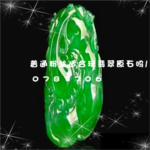 普通粉丝适合玩翡翠原石吗/2023110783706