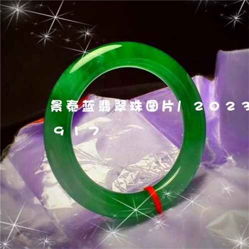 景泰蓝翡翠珠图片/2023033184917