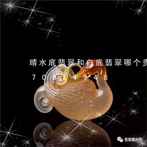 晴水底翡翠和白底翡翠哪个贵/2023070914748