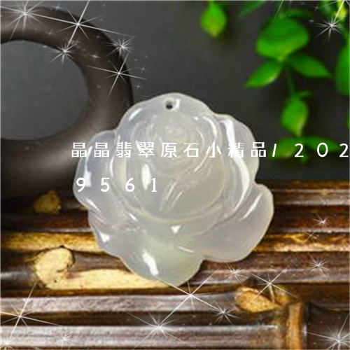 晶晶翡翠原石小精品/2023102649561