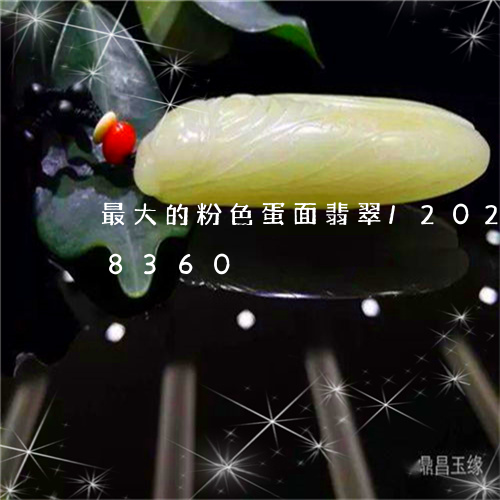 最大的粉色蛋面翡翠/2023102518360