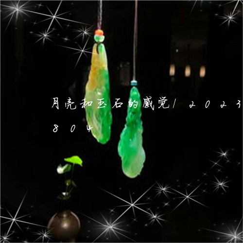 月亮和玉石的感觉/2023121591804