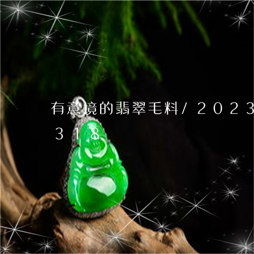 有意境的翡翠毛料/2023033073318