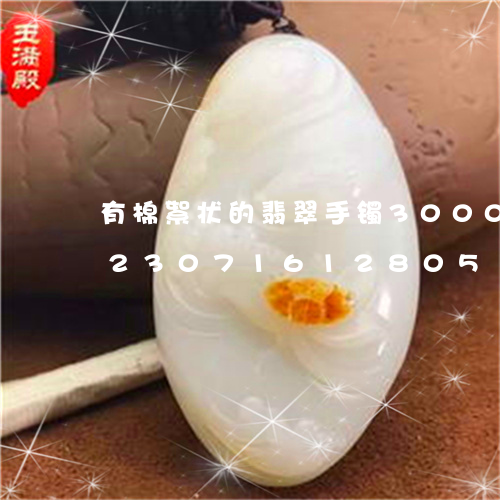 有棉絮状的翡翠手镯3000贵不贵/2023071612805